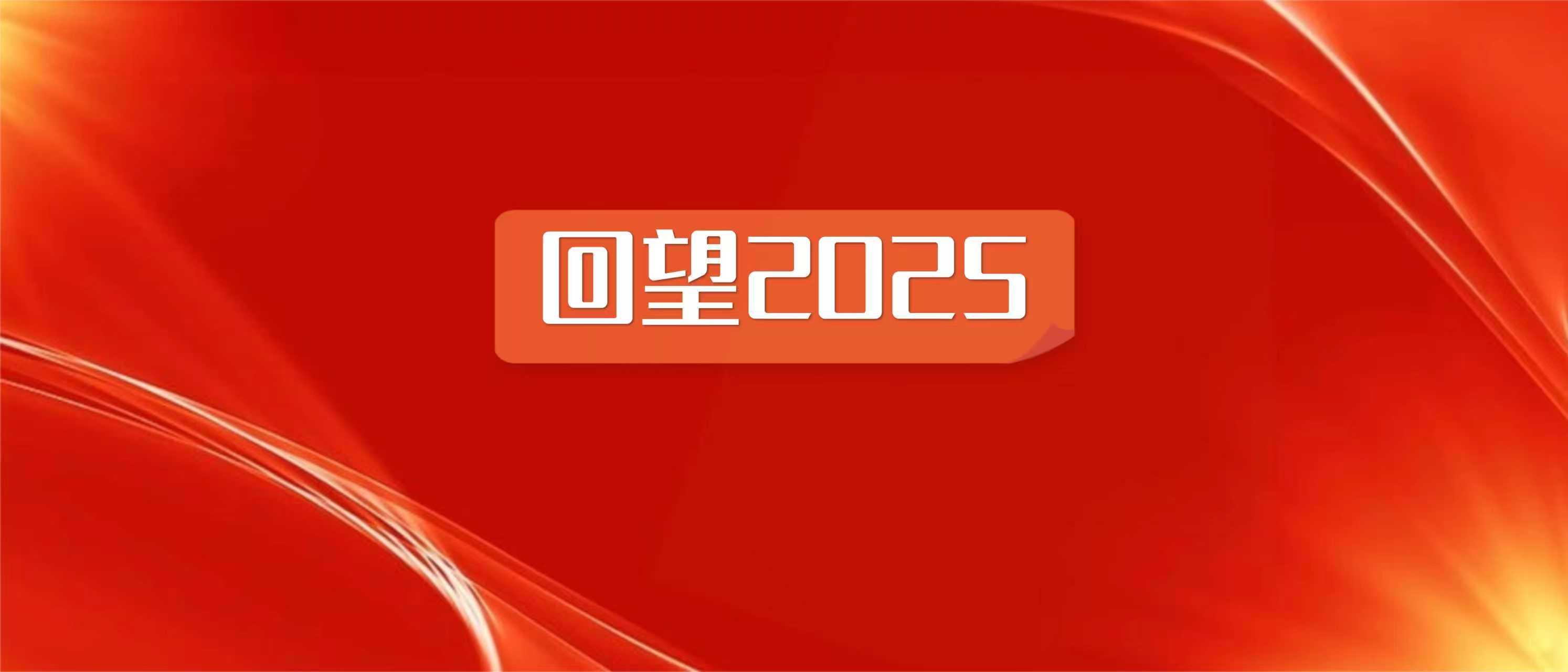 金讼圈律师团队2025年度十大案例（排名不分先后）——在变局中守专业，在攻坚中显锋芒