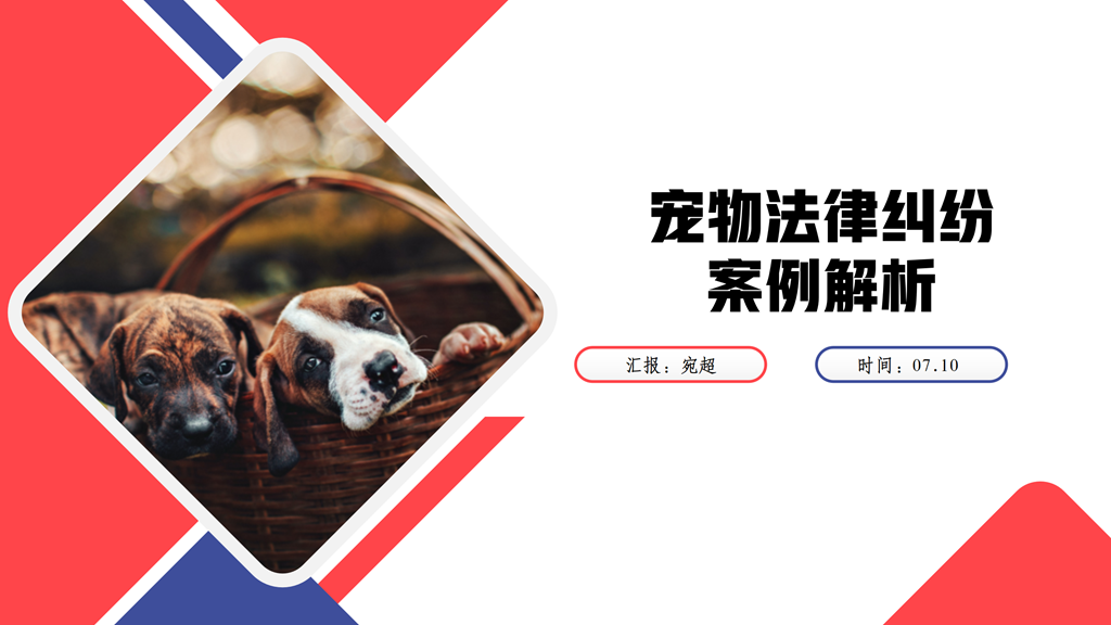 智仁公益 | 普法课系列之《宠物法律纠纷案例解析》