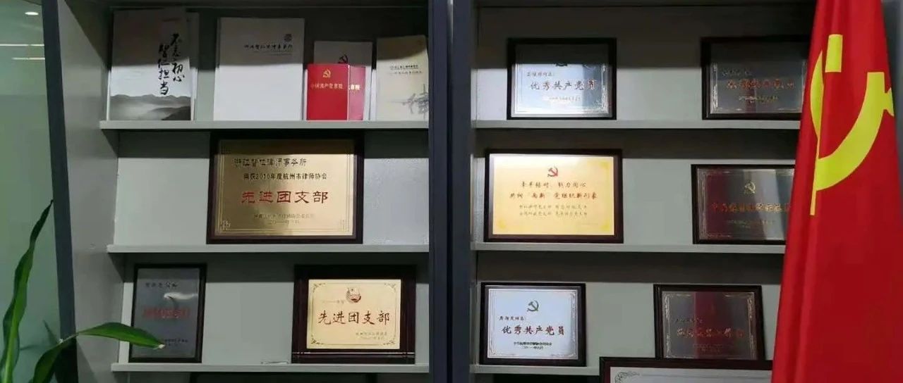 【献礼建党百年之向党报告6】党建引领，智仁创优——党组织及党员律师荣誉
