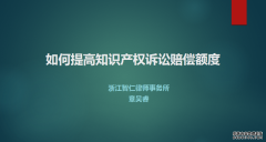 智仁坛2019年第二期——《知识产权侵权诉讼中如何确定赔偿额度》